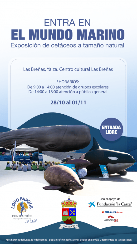 Yaiza y la Fundación Loro Parque invitan a la exposición ‘Cetáceos de la Macaronesia’